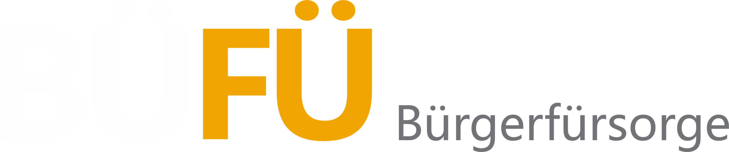 BüFü Bürgerfürsorge GmbH